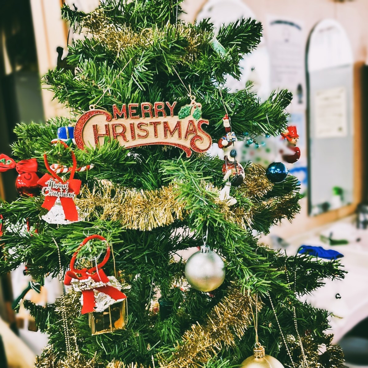 「就労継続支援きじばと」の皆様とクリスマス会🎄